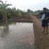 Lahan Kas Desa Mangkrak, Warga Sulap Menjadi Kolam Ikan