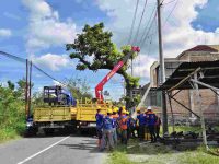 Jelang Hari Buruh, PLN ULP Delanggu Lakukan Pemeliharaa Jaringan Listrik di Kawasan Pabrik