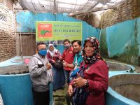 Tingkatkan Kemampuan Pemberdayaan, Relawan ICKK Kunjungi Lele Lala Bioflok